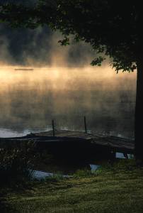 Dock, fog