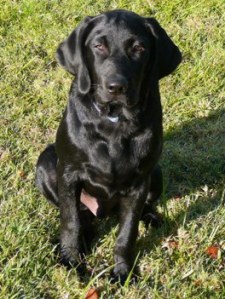 Elijah contemplating