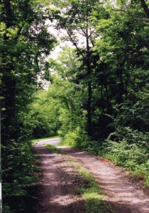 road-to-Ra-bbit-Ridge-web-v