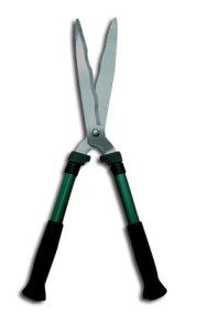 cyclone_hedgeshearwavy