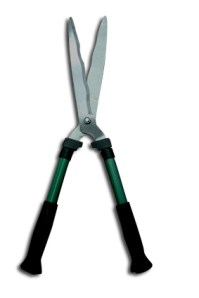 cyclone_hedgeshearwavy