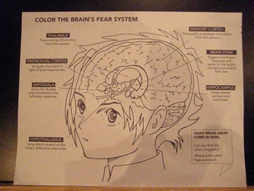 brain-fear