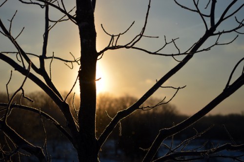 Photo by Sheila Creighton Imagery of Lighthttp://imageryoflight.wordpress.com/