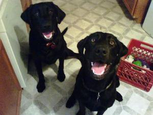 Here we are. Send us!