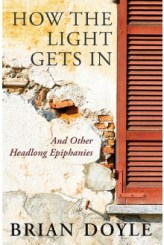 how-the-light-gets-in